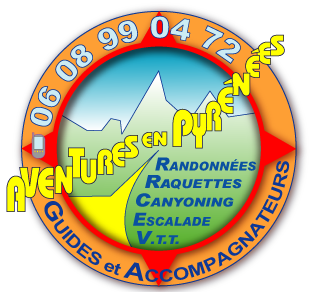 Logo Aventures en Pyrénées, raquette, randonnée, canyoning